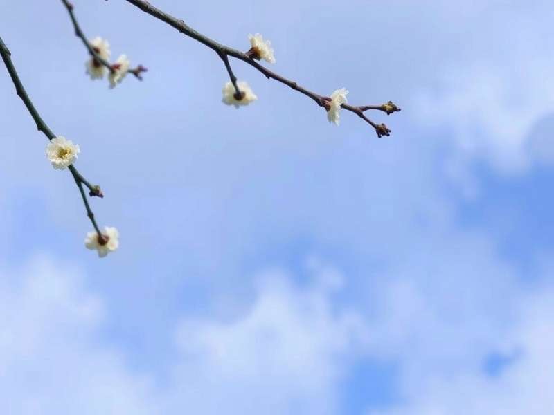 学校食堂管理服务